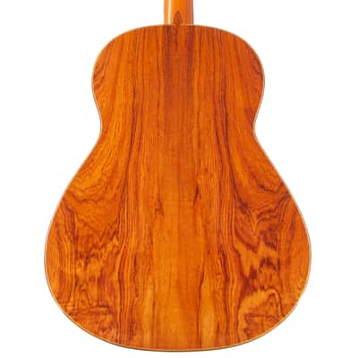Gerardo Escobedo 2018 - absolutely stunning classical guitar - lightweight, lively and explosive - check video! image 9