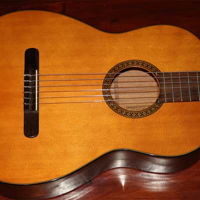1976 Martin N-10 image 3