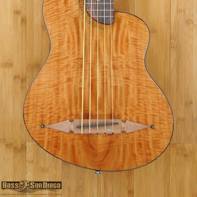 Rick Turner Renaissance RB5FL 5 String Fretless Bass image 2