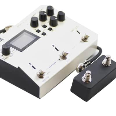 Boss DD500 Aux Switch - Two Button Guitar Aux Switch image 2