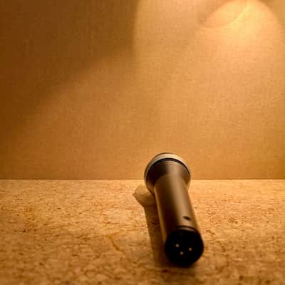 AKG D5 Standard Dynamic Vocal Microphone • Warranty image 4