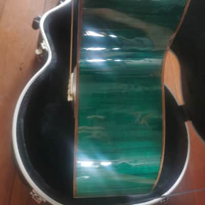 Ortega 25th Anniversary walker VIDEO
with stagg hard case image 10