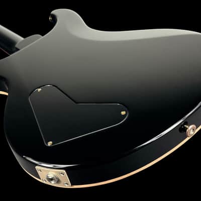 2023 Paul Reed Smith PRS Paul's Guitar Flame Top with Brushstroke Inlays ~ Blue Burst image 4