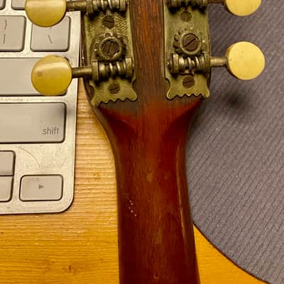 Unbranded Bowl Back Mandolin Early 1900's "For Repair" image 6