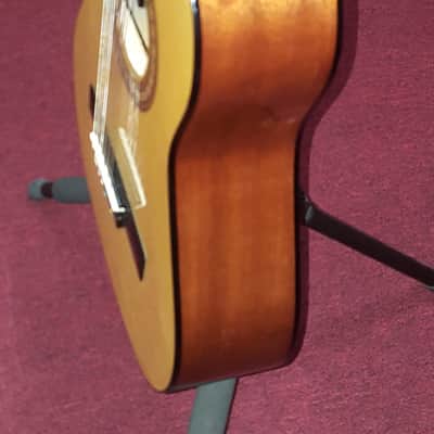 Jasmine JS241 1/2 Classical Guitar w/Chipboard Case image 8