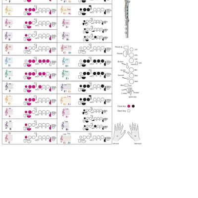 Flute Fingering Chart with Color-Coded Notes, Learn Flute Technique Suitable for All Levels image 1