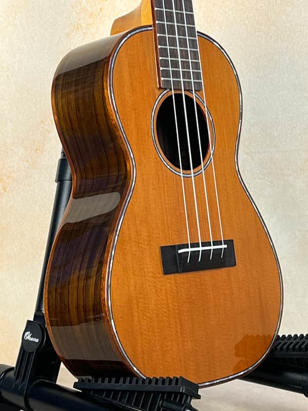Gorgeous Ohana CK-50G Solid Cedar Top Concert Ukulele image 1