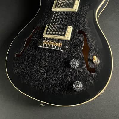 PRS SE Hollowbody Standard w/HSC - Dog Hair Smokeburst image 1