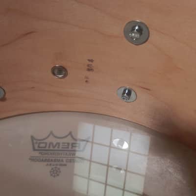 Ludwig LS401 Classic Maple 5x14" 10-Lug Snare Drum image 11