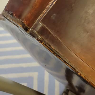 Kay C-1 1960 3/4 Upright Bass (DELIVERY AVAILABLE!) image 7