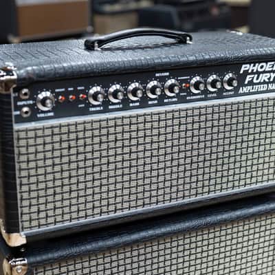Amplified Nation Phoenix Fury 50W Head & 112 Cab – Black Croc image 3