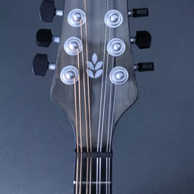 2025 KLOS A-Style Mandolin A/E Carbon Timber image 5