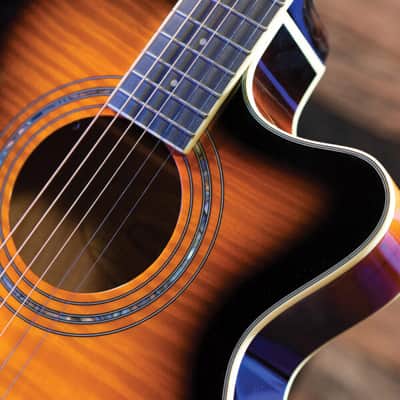 Washburn EA15 Tobacco Burst image 11