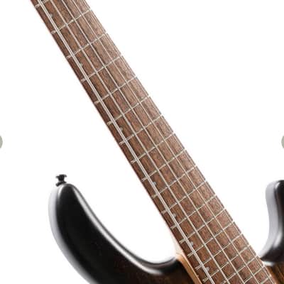 Cort C5 Plus OVMH  Artisan Series C5 Plus 5-String Bass – Antique Brown Burst image 15