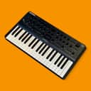 Modal Electronics Argon8, 8-Voice Wavetable Synthesizer with 37 Keys, B-Stock [USED-EXCELLENT]