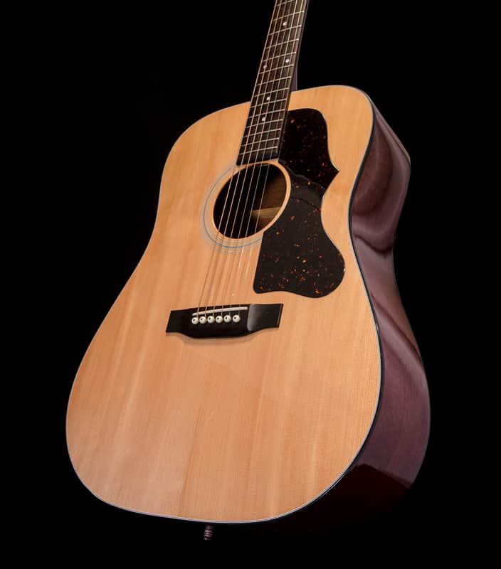 Aria Pro II PW25 Acoustic Dreadnought image 1