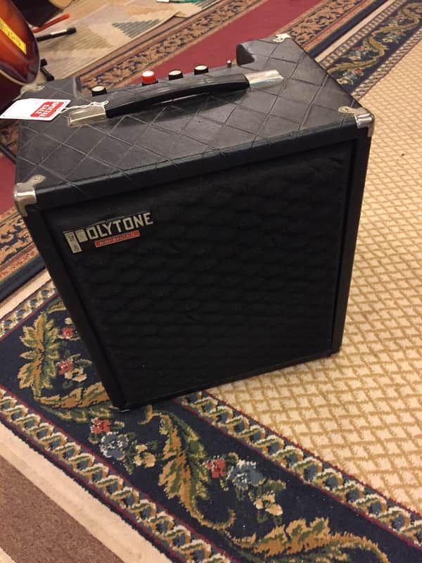 Polytone Mini-Brute image 1