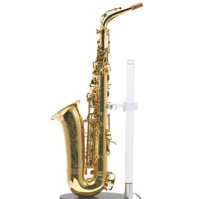 Giardinelli by Eastman GAS10 Alto Saxophone in Gold Lacquer SN 11533980 image 10