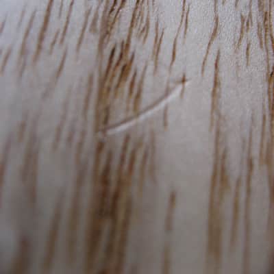 Bacchus DX5 Woodline Natural image 10
