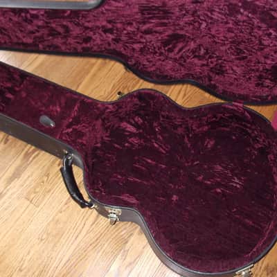 Devlin DV500 Archtop image 11