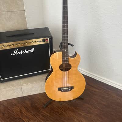 Washburn AB-10 - Natural image 1