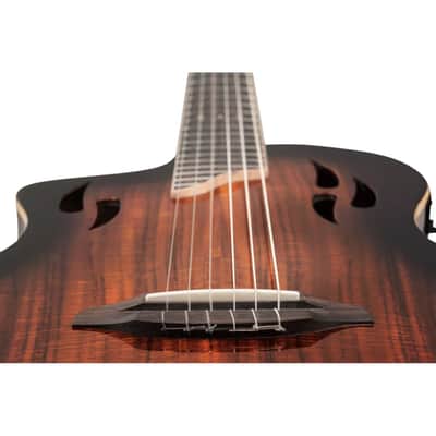 Ortega RTPDLX-ACA-L TourPlayer Series Solid Okoume Body Slim Neck Nylon 6-String Acoustic-Electric Guitar w/Gig Bag For Left Handed Player image 12