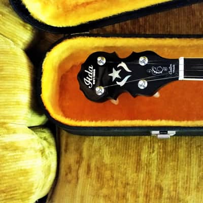 Vintage Iida 5 string Banjo image 3