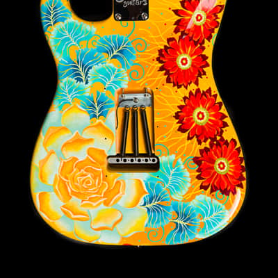 American Standard Stratocaster 2016 w/Custom Neck & Finish Bild 2