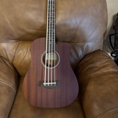 Gold Tone GT Series Micro Bass Mid 2000’s - Matt image 1