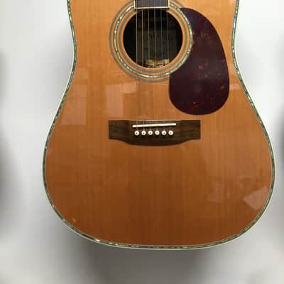Zager ZAD 80 EZ-PLAY Acoustic Guitar image 1