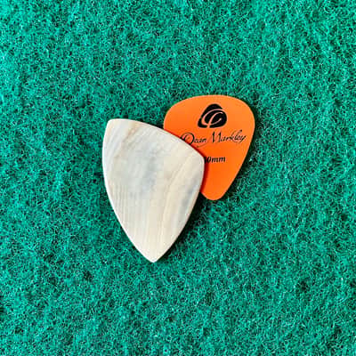 Seashell guitar pick-1.5mm, asymmetrical profile… by BeachSidePicks image 3