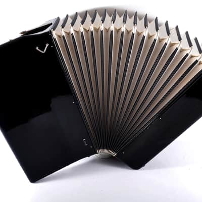 German Made Top Piano Accordion Weltmeister Elegance - 96 bass, 16 reg. + Original Hard Case & Straps - Youtube VIDEOS image 14