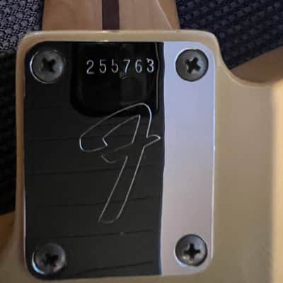 Fender Telecaster 1969 - Blonde w/Rough Brown Fender HSC new neck pics added image 7