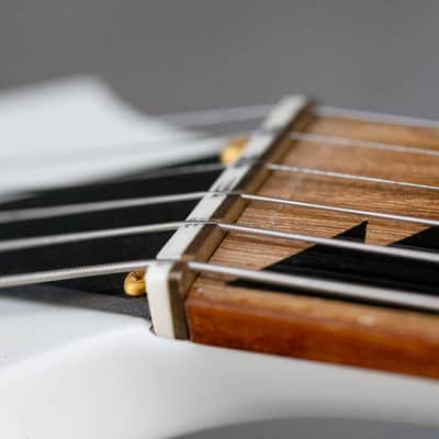 Paul Gilbert Owned Guitar Fundraiser Guitar #1, LA Custom Shop Set Neck! image 9