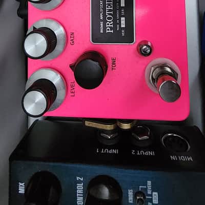 Browne Amplification Protein Dual Overdrive V2 2019 - 2021 - Various image 5