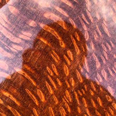 Travis Bean TB3000 2020 Lacewood Wedge image 12