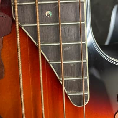 Ovation Celebrity - New England burst image 2