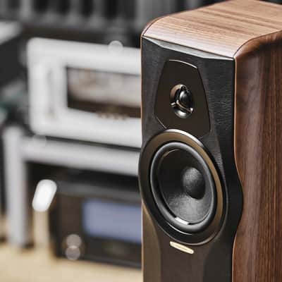 SONUS FABER Maxima Amator - 2-Way Floorstanding Speakers (Pair) - NEW! image 6