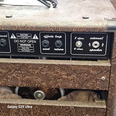 Devil Cat Jimmy Jr. 50 Reverb Tube Amp image 11