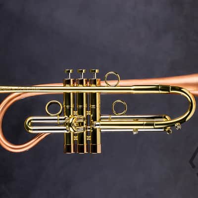 Taylor 46 Balladeer Bb trumpet / flugelhorn hybrid 2020, matte lacquer image 2