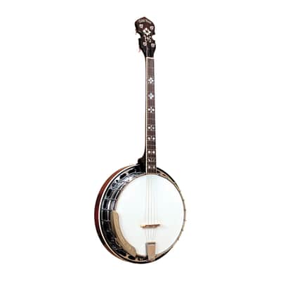 Gold Tone TS-250 4-String Flat Top Resonator Tenor Special Banjo