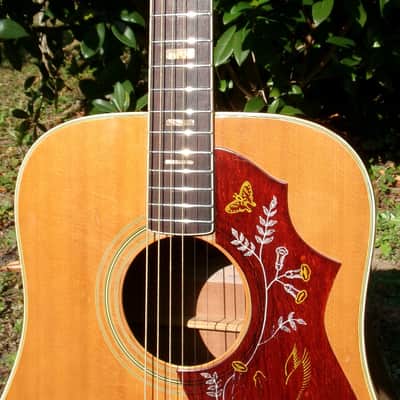 Aria WH-25 Hummingbird style guitar Japan Vintage  '70 Natural+Gig Bag image 4