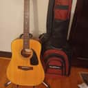 Fender DG10/12 NS 1990s - Natural