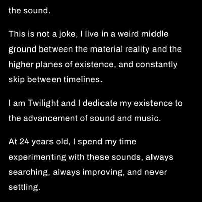 Twilight Audio Electronics Echoes of the past image 4