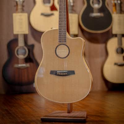 LR Baggs AEG-1 Acoustic electric Guitar Torrefied Spruce Top image 1