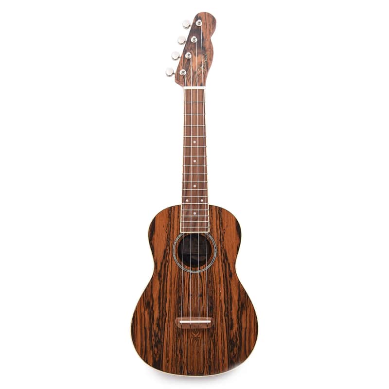 Fender Zuma Exotic Concert Ukulele image 1