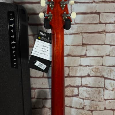 PRS DGT David Grissom Tremolo Signature 1 piece Top Birds - McCarty Sunburst image 14
