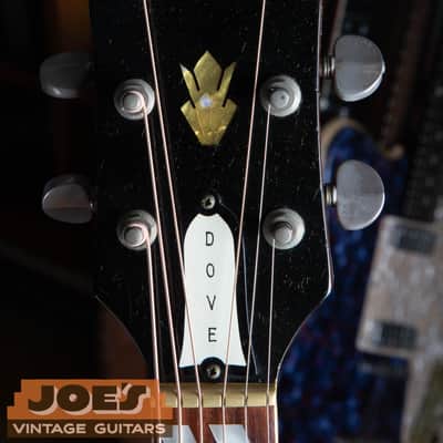 Gibson Dove 1968 - Natural image 3