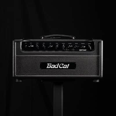Bad Cat Hot Cat 45W EL34 2-Channel Tube Head with Reverb image 6