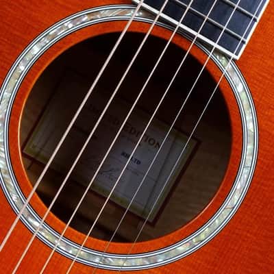 Taylor Running Horses RH-LTD Namm GA 2003 - Sunburst image 7